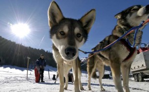 La clusaz seminaire incentive