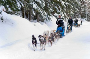 La clusaz seminaire incentive