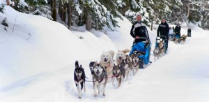 La clusaz seminaire incentive